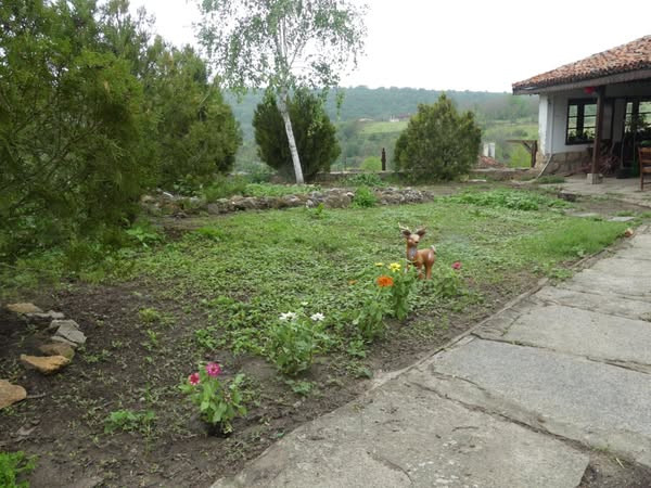 Еко Къмпинг Селцето