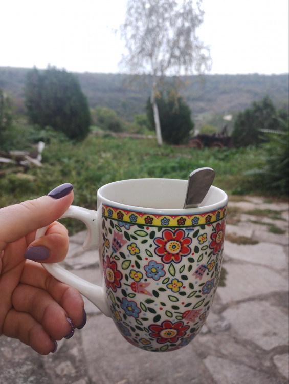 Еко Къмпинг Селцето