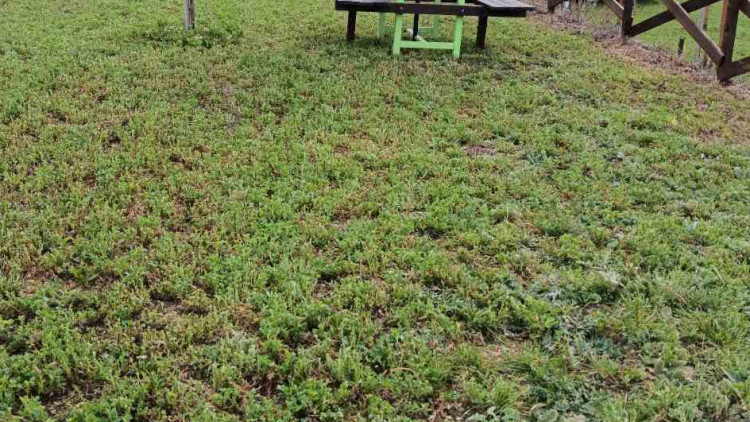 Еко Къмпинг Селцето